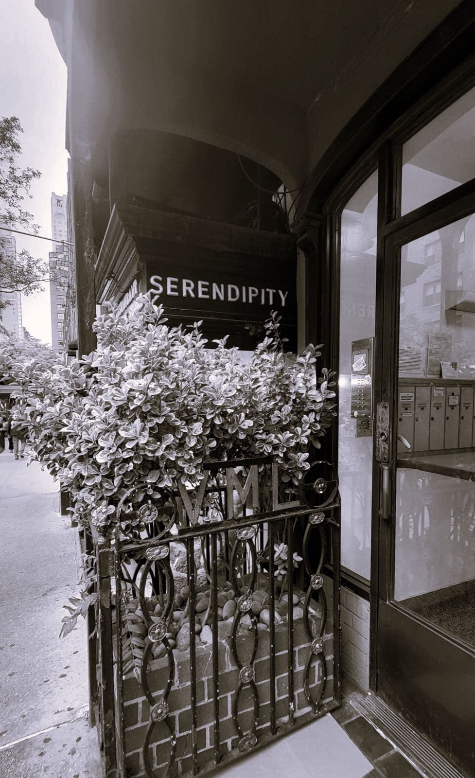 Serendipity 3